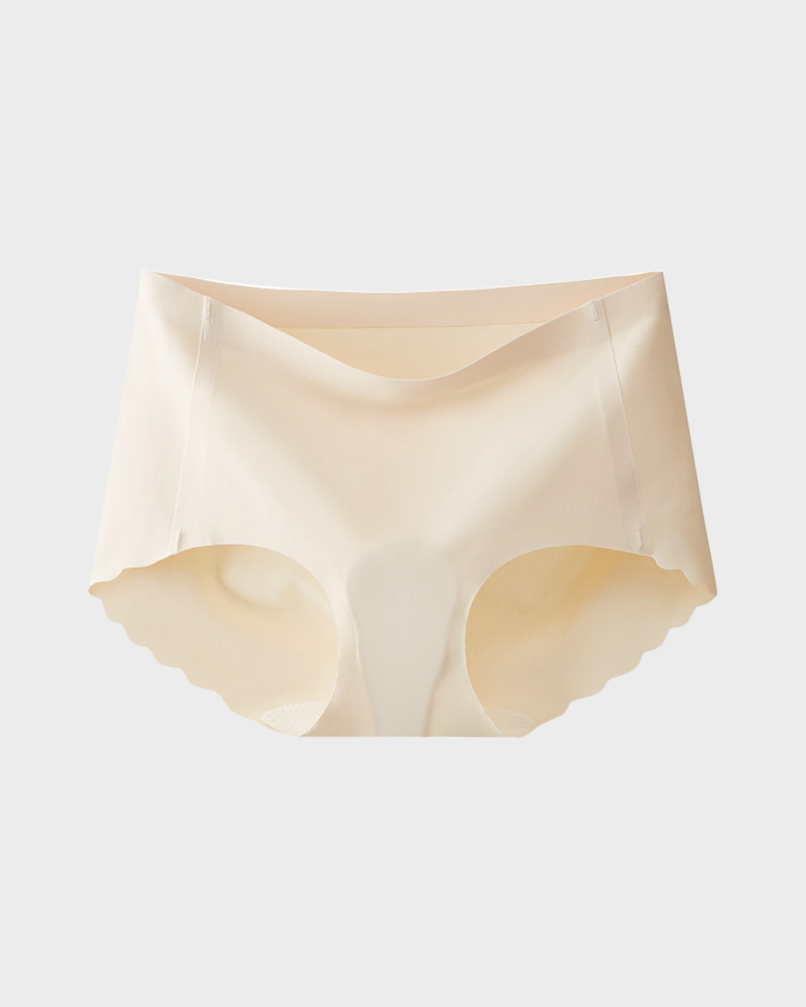 Seamless No Camel Toe Silk Antibacterial Gusset Panties (5 Pack)